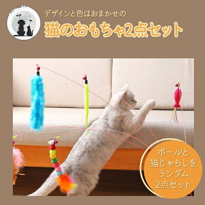 y50OFFN[|菤iz  L̂2_Zbg _ TCU ܂Ƃ {[  L炵 L  lV  H  lR ˂ Lbg Lp 