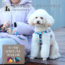 ◆送料無料◆ 幾何学模様ハーネスリードセット ポリエステル 牽引ロープ 犬用 ドッグ ペット 中型犬 大型犬 ハーネス リード セット カラフル 負担が少ない 快適 脱着簡単 胴輪 装着簡単 調節可能 引っ張り癖 散歩 お出かけ 福袋