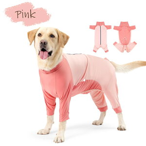 u}\ԌP10{v ڐG⊴p[X Ȃ p[X 傫TCY Lk  t 畆 ی  ^ ^ ^ S ڐG⊴ h 悯 ё΍   hb