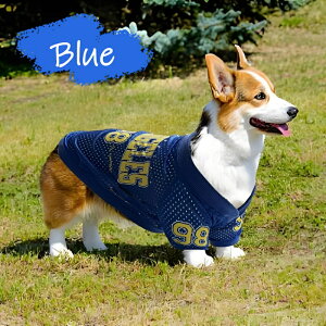  bVp[X p[X ^Ngbv ё΍   hbOEFA ^ ^   y y E₷ ʋC Xgb`bV  bV  XL