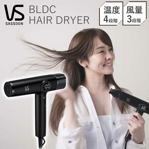 yK̔Xz VS B_TX[ wAhC[ 啗 }CiXCI BLDChC[  x  VSD-1271 VSD1271KJ ubN  RpNg y v[g r_TX