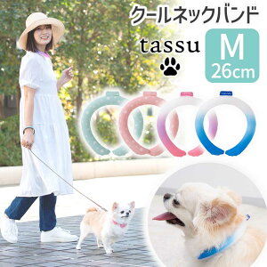 クールネックバンド ペット 首元 1686850 Mサイズ 小泉ライフテックス ピンク ピンクムーン ミント ブルースプラッシュ ネッククーラー プレゼント 景品 子供 保冷剤 長時間 首元ひんやり 熱中