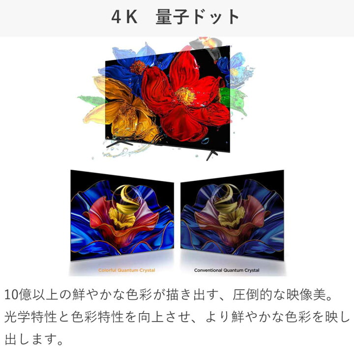 楽天市場】【2025年4月新製品】TCL(ティーシーエル) 55型 55インチ TCL 