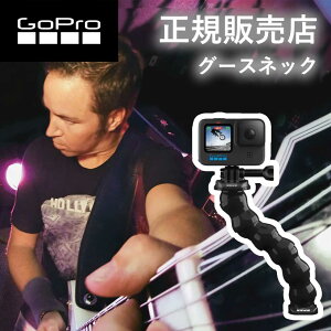 yK̔XzS[v GoPro gopro O[XlbN2 ACMFN001 ACMFN-001 ANZT[ i ܂Ȃ\ lbN hero12 gopro12 S[v12