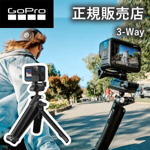 yK̔XzS[v GoPro gopro }Eg 3-Way ver2.0 XCxx[X XgXgbv AFAEM002 AFAEM-002 ANZT[ i Ki h Or ZtB[ {[WCg A[ h 