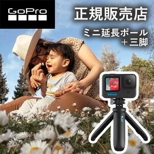 yK̔XzS[v GoPro gopro V[eB[(~j|[{Orj AFTTM001 AFTTM-001 ANZT[ i gїp RpNg B ZtB[ s ANeBreB y hero12 gopro12 S[