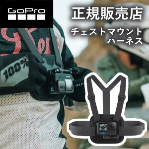 yK̔XzS[v }Eg GoPro gopro `FXg}Eg n[lX(Ver.2.0j ptH[}X `FXg }Eg }EgpobN T XN[ AGCHM001 AGCHM-001 ANZT[ 