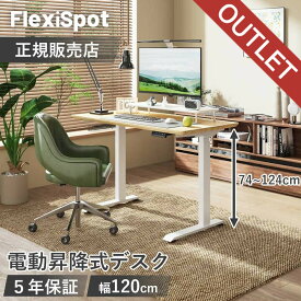 【正規販売店】FlexiSpot フレキシスポット 電動昇降デスク 電動昇降スタンディングデスク E9PROB E9PROW メモリ機能 セーフティ機能 コの字型フレーム ワイヤレス充電 Qi 昇降範囲74-124cm 簡単組み立て 幅120cm 高さ調節 電動昇降 スタンドデスク 昇降式 テーブル 竹天板