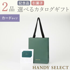 J^OMtg }CvVX HANDY SELECT(nfBZNg) (LOiEَqEN) J[h^Cv S10R[X fUCS20