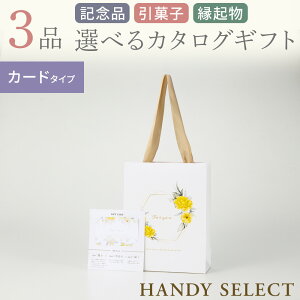 J^OMtg }CvVX HANDY SELECT(nfBZNg) (LOiEَq) J[h^Cv S10R[X fUCS20