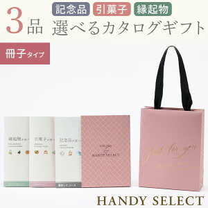 J^OMtg }CvVX HANDY SELECT(nfBZNg) (LOiEَqEN) q^Cv S10R[X fUCS20