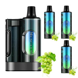 HECCO �d�q�^�o�R vape �V�[�V�� �|�b�h3�t�� ��15,000��z���� �}�X�J�b�g �J�[�g���b�W�����\ ��e�� �g���̂� �����^�уV�[�V�� �j�R�`��0 �^�[��0 �։��O�b�Y �X�^�[�^�[�L�b�g M26