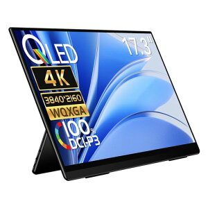 EHOMEWEI ���o�C�����j�^�[ 4K 17.3�C���` 3840*2160 QLED�p�l�� �|�[�^�u���f�B�X�v���C DCI-P3 100% �f�W�^���V�l�}�K�i FreeSYNC�Ή� �Q�[�~���O���j�^�[ �X�s�[�J�[���� �u���[���C�g�J�b�g ���^ 5mm