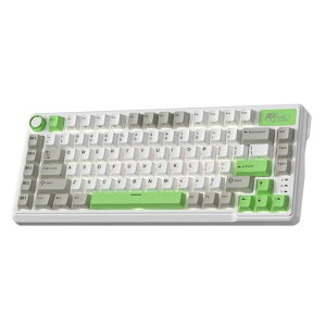 RK ROYAL KLUDGE L75 ���J�j�J���L�[�{�[�h�A�K�X�P�b�g�A�Z���u���A�{�^��/�}�N���L�[�A�^�b�`�\�l�[���v���[�g�A�g���C���[�hBT/2.4G/USB-C 75%