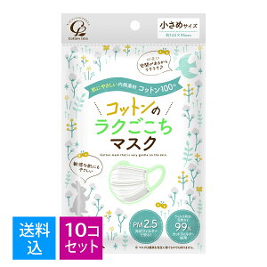 y7×10@zRbgE{ Rbg̃N }XN 7 ߃TCY @Rbg100%}XNi145×95mm@ĝĕsDz}XNji4973202501216j