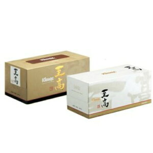 {NVA@NlbNXeBV[  160g ( 480 ) (eBVy[p[)(4901750401900)