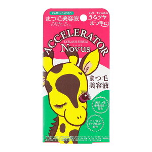 yz܂zTf{ ANZ[^[ ACbVZ 5g 1