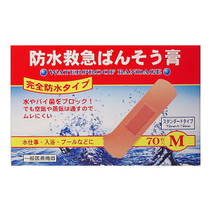 iH h~}΂񂻂p Sh^Cv MTCY 70 Jnp