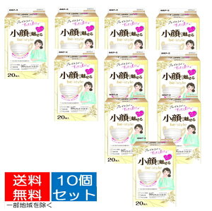 【送料込・まとめ買い×10個セット】白元アース be-style ビースタイル 小顔に魅せるマスク 20枚入 プリーツタイプ  ふつうサイズ プレミアムホワイト (4902407582324)※無くなり次第終了