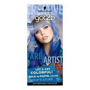 �y�������E�܂Ƃߔ���×2�Z�b�g�z�w���P���W���p�� got2b �J���[�N���[�� �G���N�g���b�N �u���[