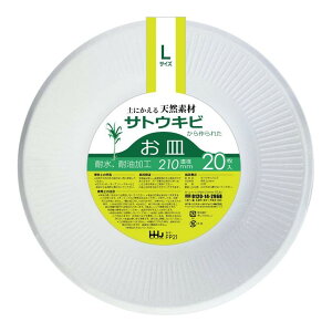 nEXz[hWp FP21 yɂVRfނꂽ oKXM LTCY 20