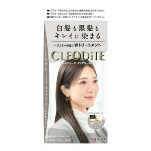 yIʌZ[z_ NIfB[e NA[J[ p uCgO[W wAJ[