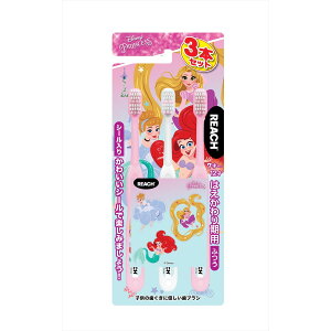 Xet@j[ [`LbY vZX 2020 ͂p 3{pbN ǂpnuV