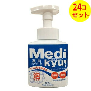 yz PbgΌ pnh\[v fBLbI A^Cv { 250ml ×24Zbg