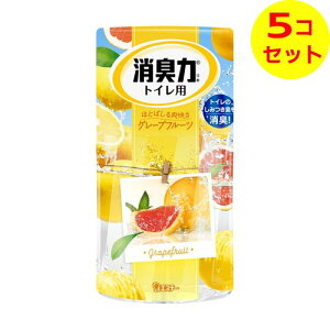 yz GXe[ L̓gCp O[vt[c 400ml L܁EF ×5Zbg