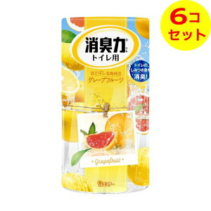 yz GXe[ L̓gCp O[vt[c 400ml L܁EF ×6Zbg