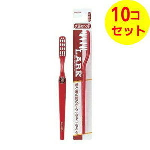 yz TX^[ [N nuV M[ F͑Iׂ܂ ×10Zbg