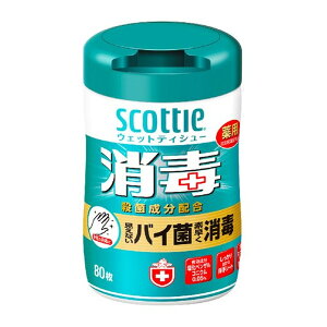 {NVA XRbeB EFbgeBV[  80 V[g AR[^Cv