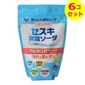 【送料込】 第一石鹸 キッチンクラブ セスキ炭酸ソーダ 500g ×6個セット