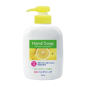 yIʌZ[zΌ p nh\[v { 250ml 򕔊Oi