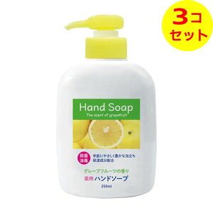 yz Ό p nh\[v { 250ml 򕔊Oi ×3Zbg