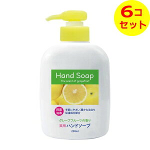 yz Ό p nh\[v { 250ml 򕔊Oi ×6Zbg