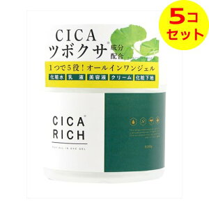yz xm VJb` CICA RICH I[C WF 280g ×5Zbg