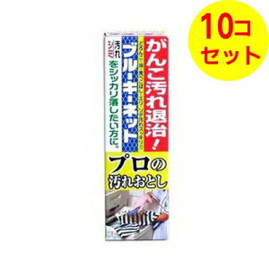 yz u[L u[L[lbg v̉ꂨƂ 110g ×10Zbg