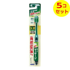 yz ѐ t ɕuV 炩 F͑Iׂ܂B ×5Zbg