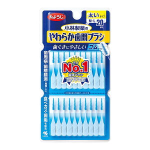 ỹIXXizѐ Dental Dr. 炩ԃuV ML 20{