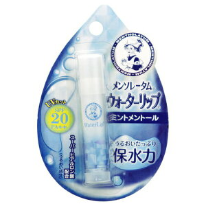 yIʌZ[z\[^ EH[^[bv ~gg[ 4.5g