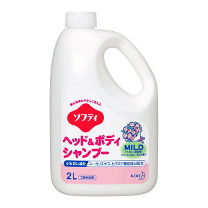 ԉvtFbVi \teB wbh & {fBVv[ }Ch Ɩp ߂p 2L