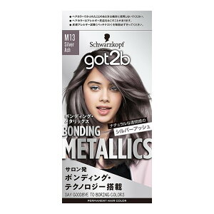 �y�������E�܂Ƃߔ���×2�Z�b�g�z�w���P�� got2b �{���f�B���O�E���^���b�N�X �w�A�J���[ �V���o�[�A�b�V��