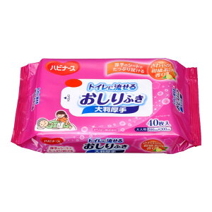 sW ^q nri[X gCɗ邨ӂ 唻 40