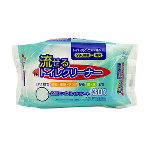ꎆH  gCN[i[ 30 gC|