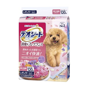 jE`[ ybg fIV[g L & tOX t[V{̍ M[ 120