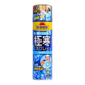 【今だけお得！数量限定セール】桐灰化学 熱中対策 服の上から極寒スプレー 無香料 330ml(4901548602984)◇