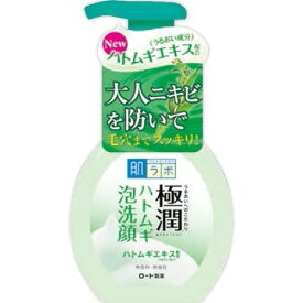 ロート製薬 肌研 ( ハダラボ ) 極潤ハトムギ泡洗顔 160ML ( 4987241145638 )