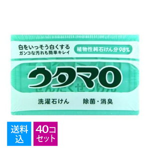 yE܂Ƃߔ×40ZbgzM@E^}@΂@133g@Ō`Ό ( ߗޗp ) ( 4904766110309 )