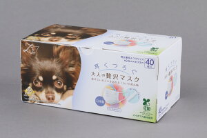 ���i�摜